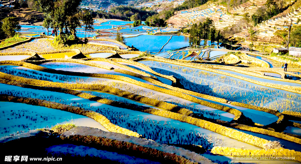 元阳哈尼梯田风光