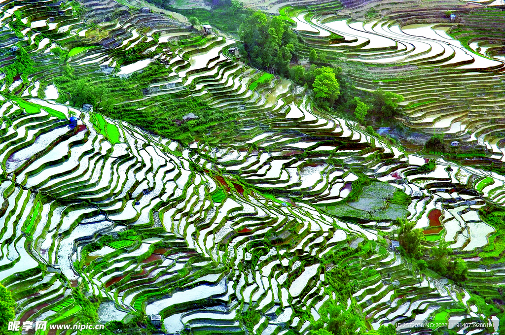 元阳哈尼梯田风光