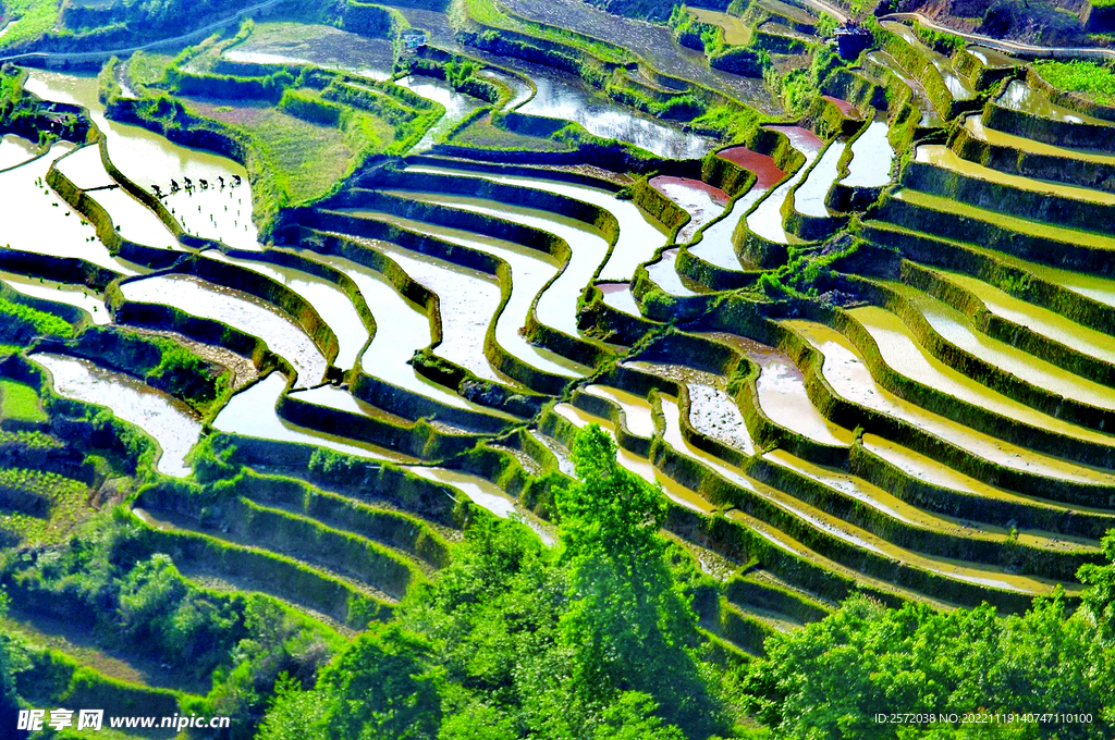 元阳哈尼梯田风光