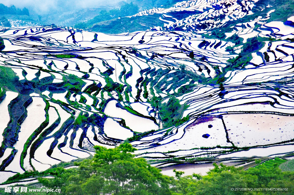 元阳哈尼梯田风光
