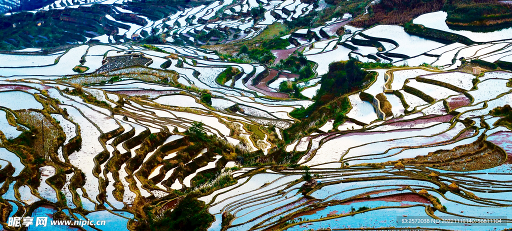 元阳哈尼梯田风光