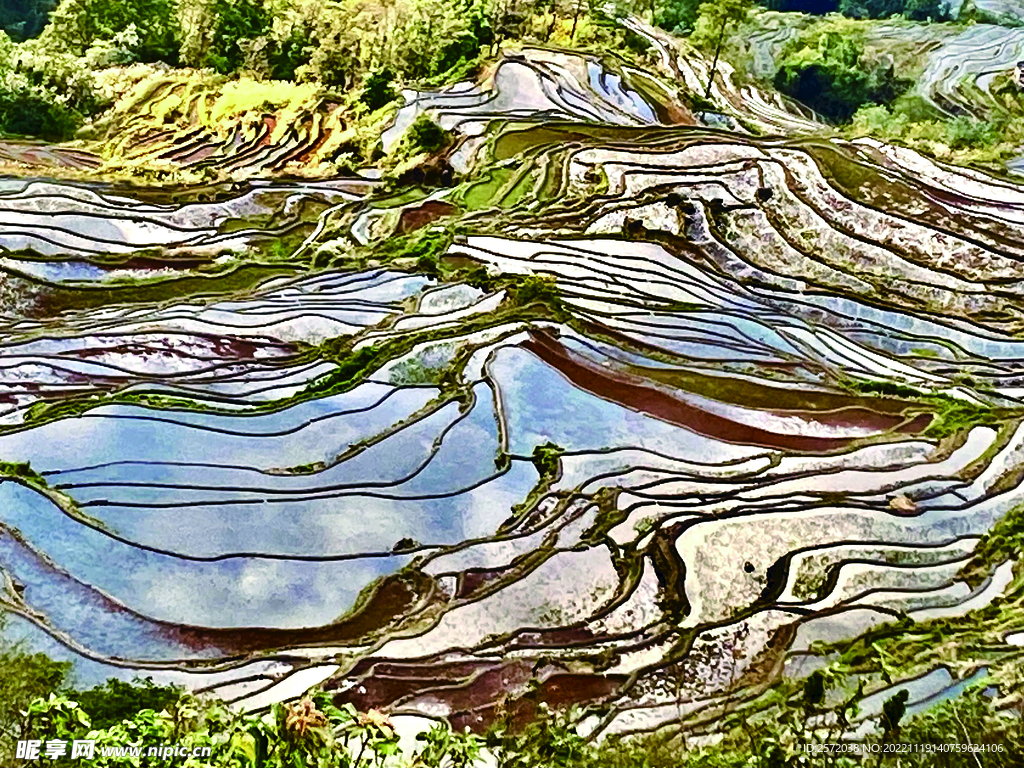 元阳哈尼梯田风光