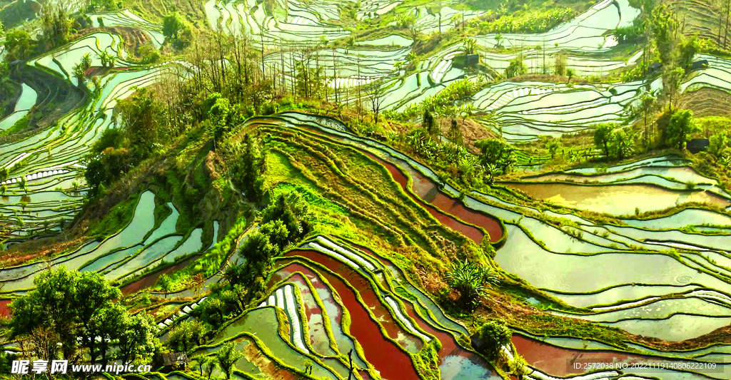 元阳哈尼梯田风光