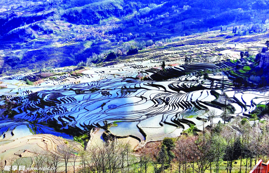 元阳哈尼梯田风光