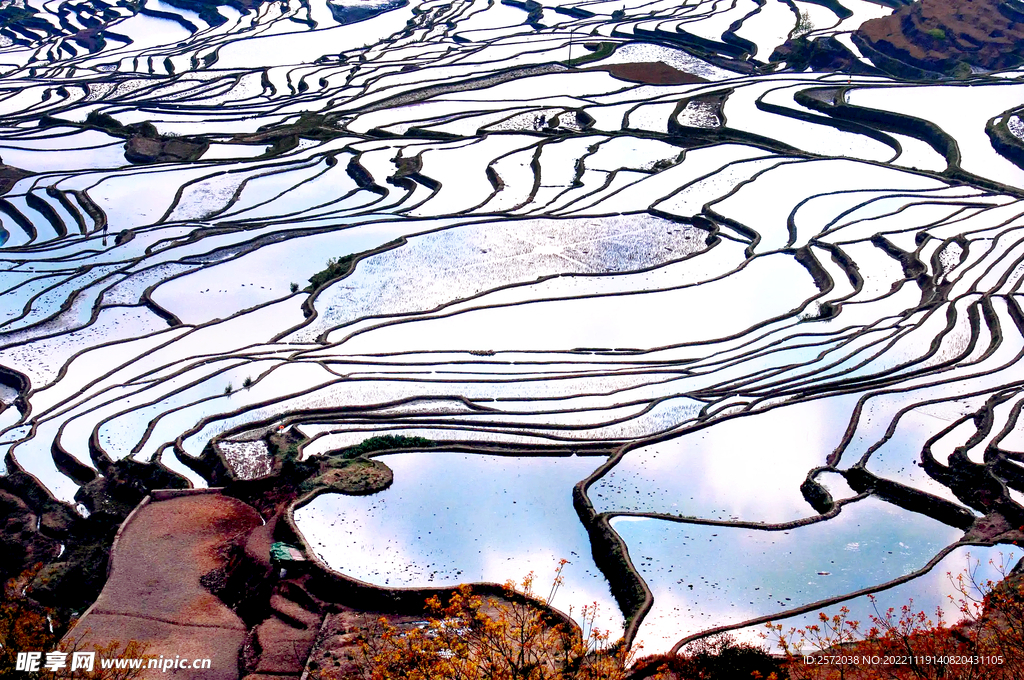 元阳哈尼梯田风光