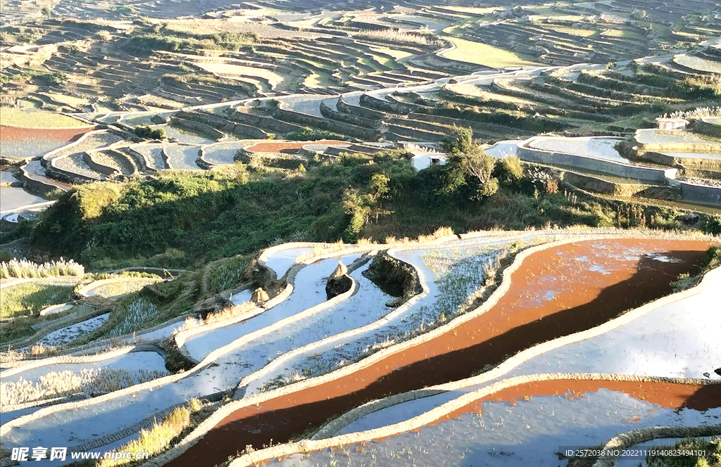 元阳哈尼梯田风光