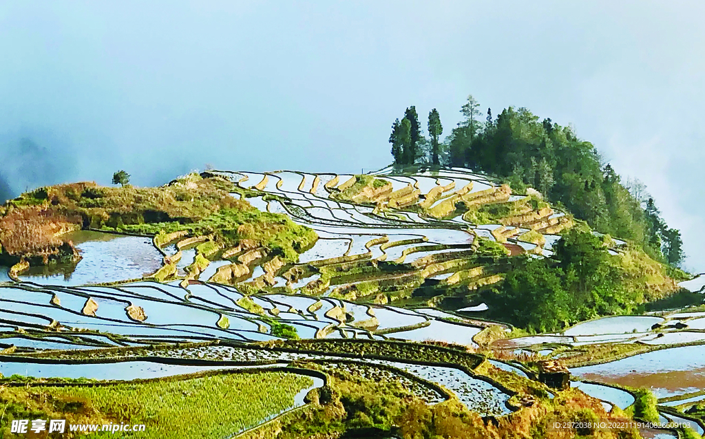 元阳哈尼梯田风光