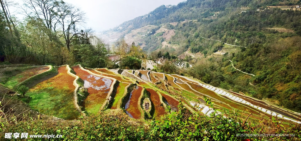 元阳哈尼梯田风光