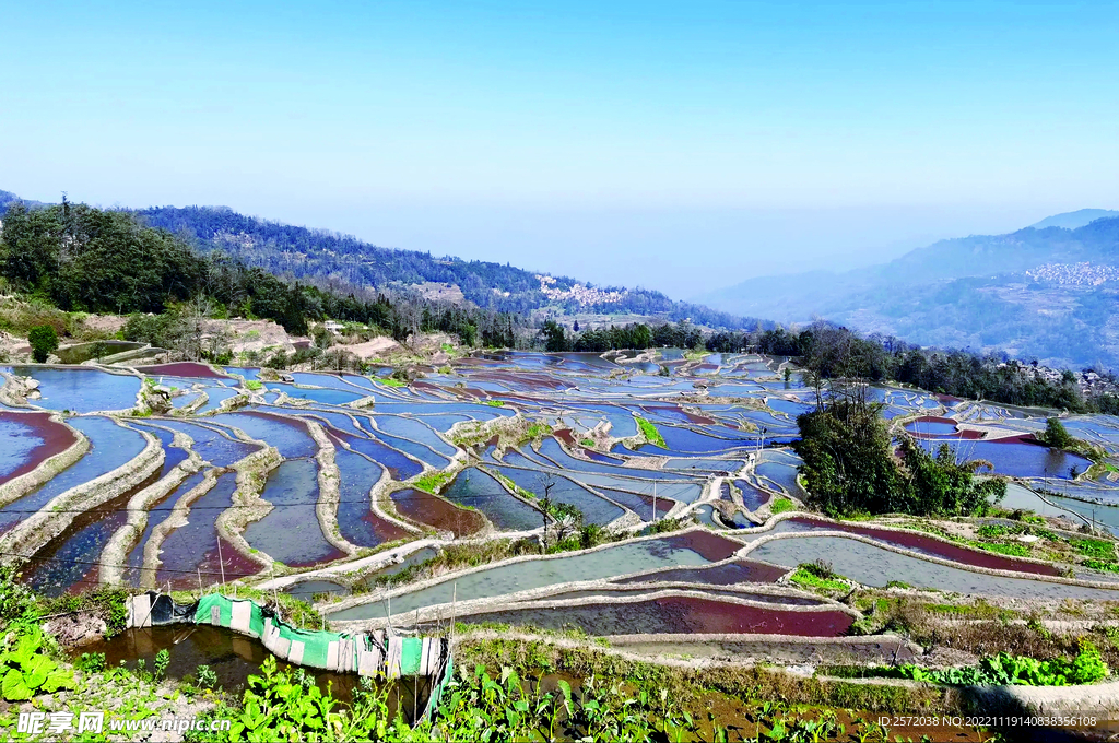 元阳哈尼梯田风光