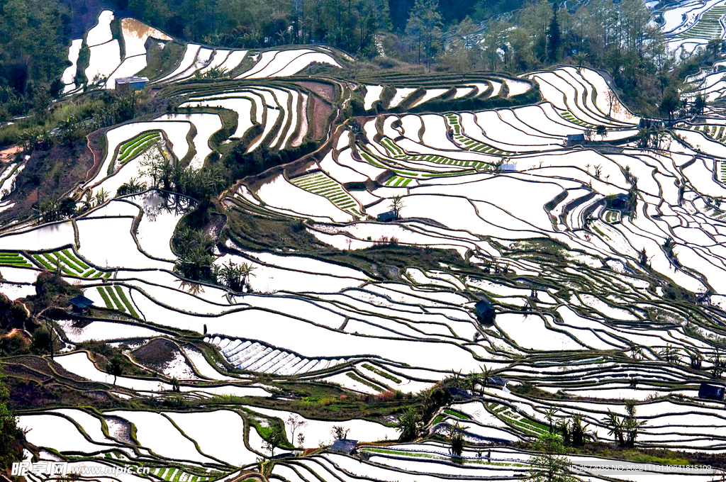 元阳哈尼梯田风光