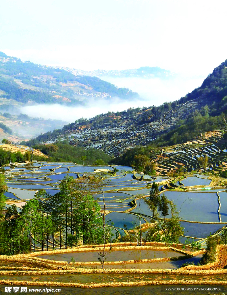 元阳哈尼梯田风光