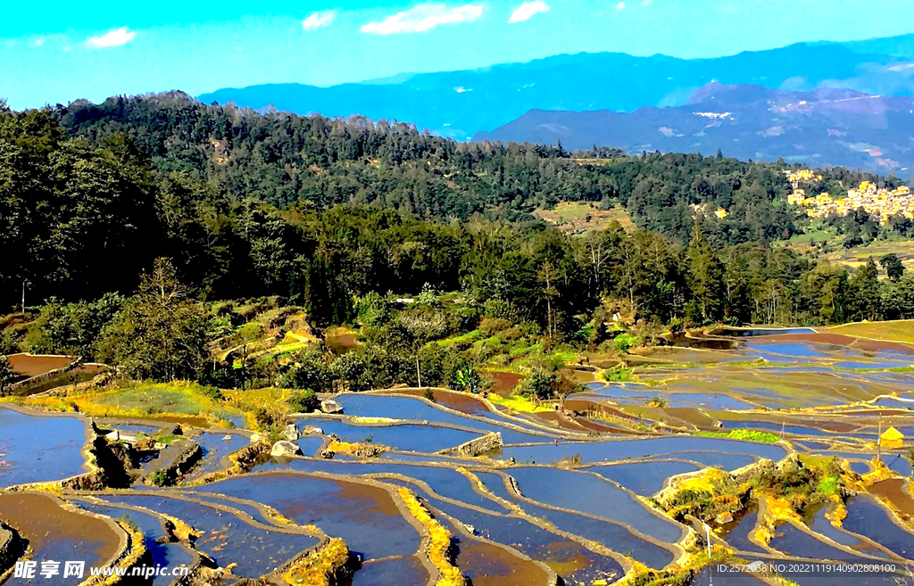 元阳哈尼梯田风光