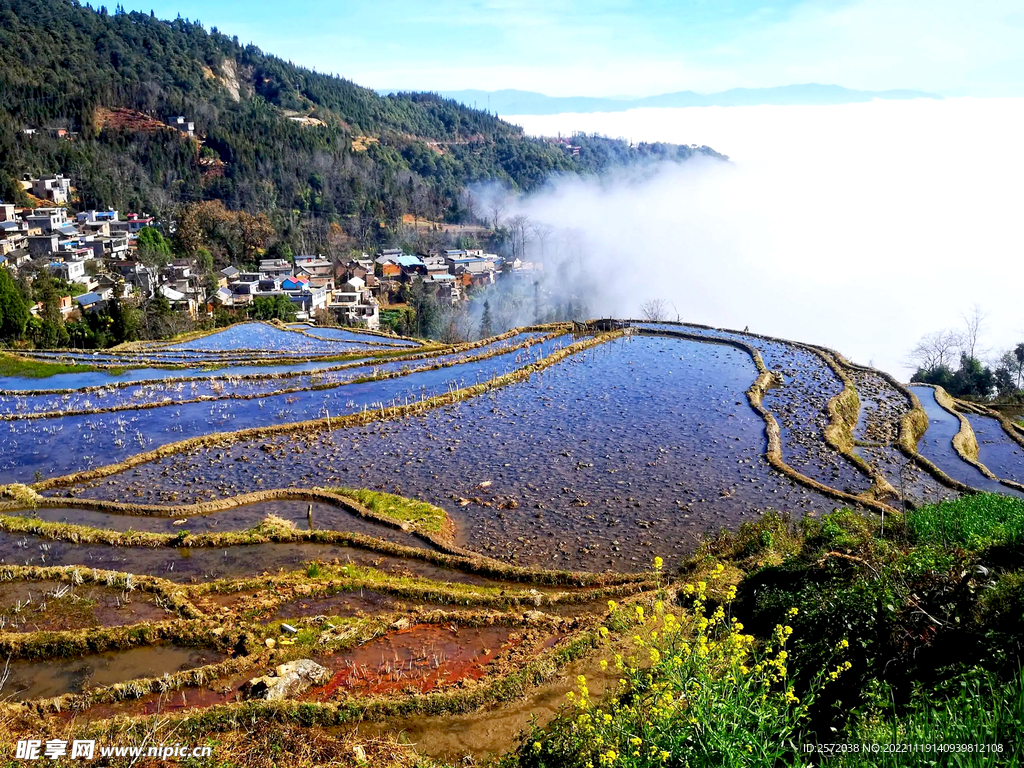 元阳哈尼梯田风光