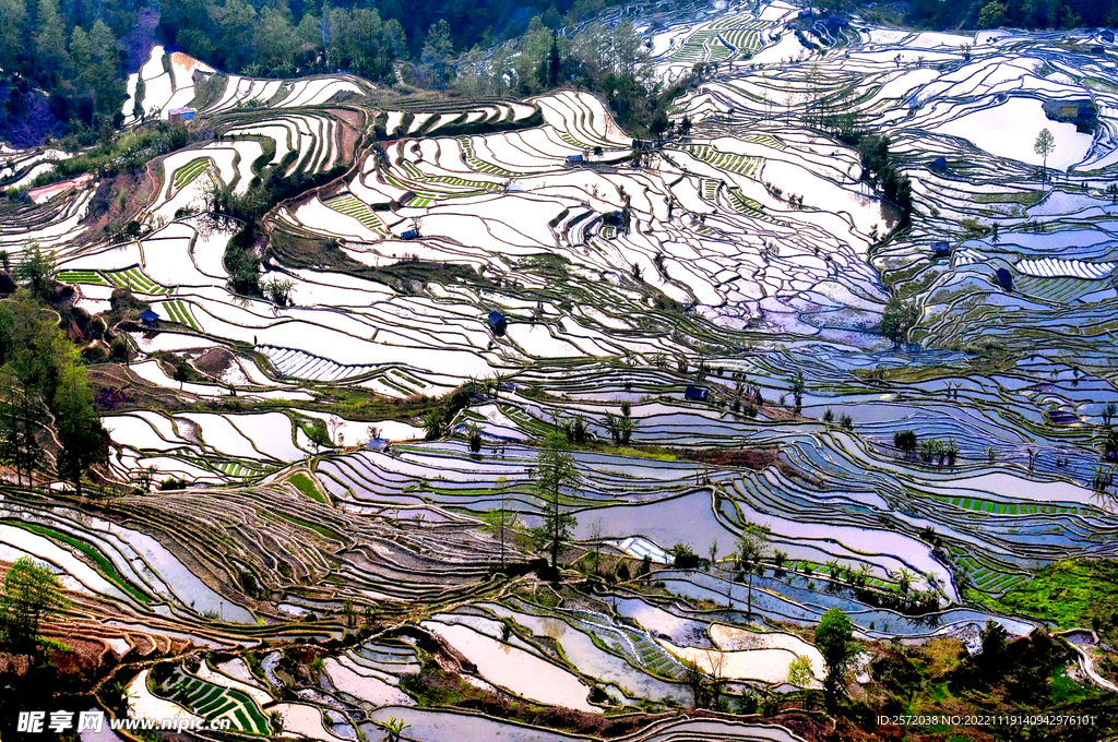 元阳哈尼梯田风光