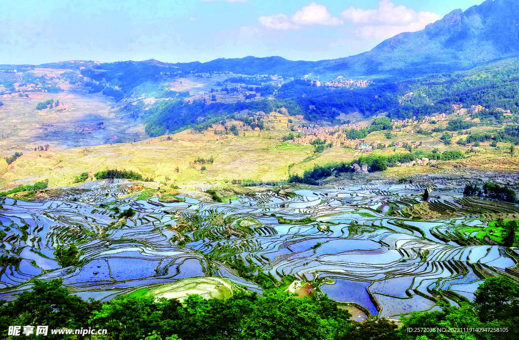 元阳哈尼梯田风光