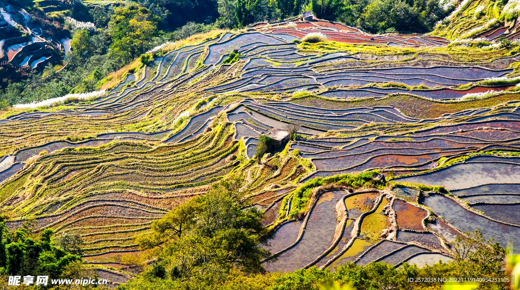 元阳哈尼梯田风光