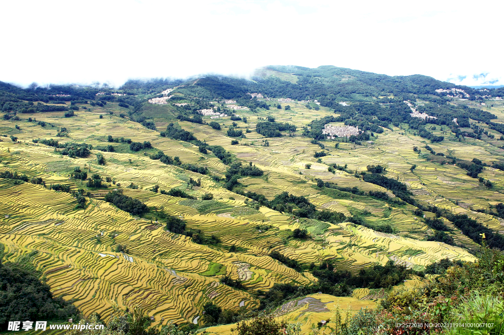 元阳哈尼梯田风光