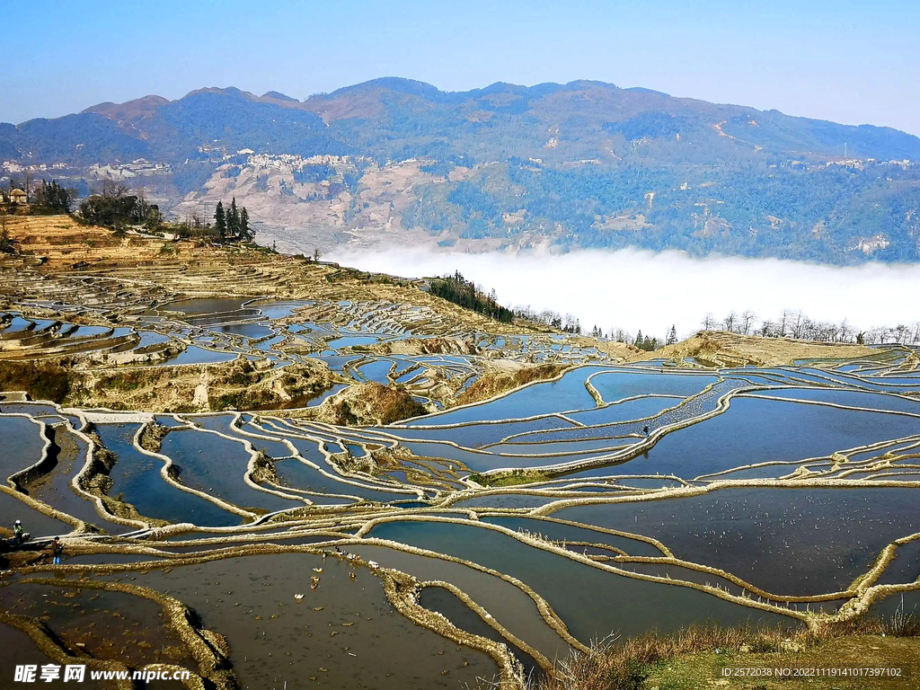 元阳哈尼梯田风光