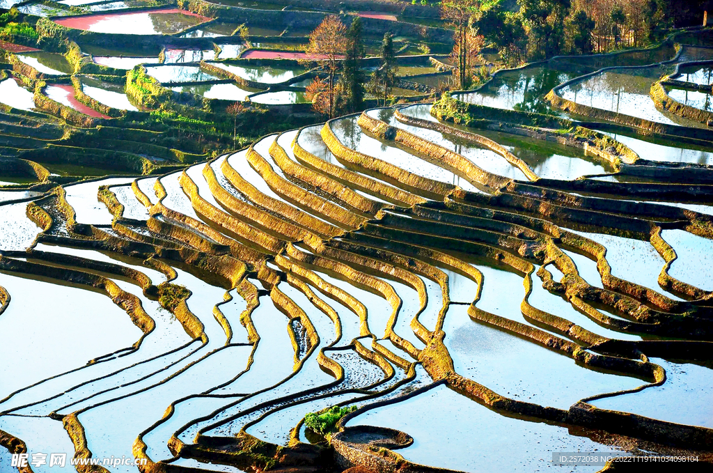 元阳哈尼梯田风光