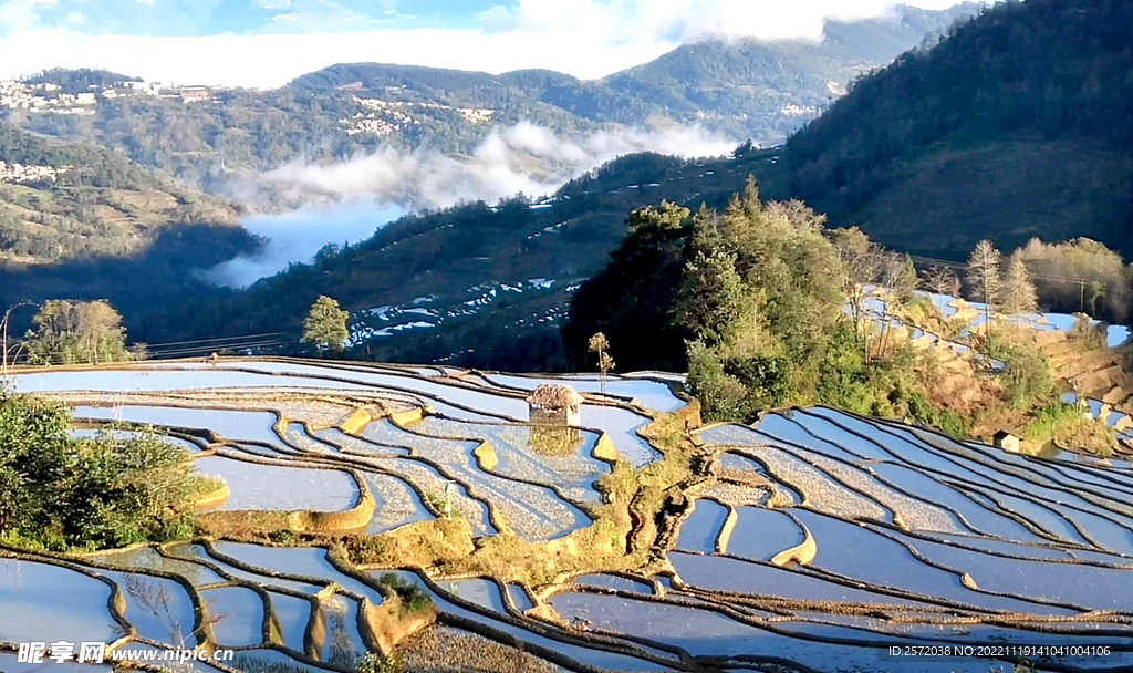 元阳哈尼梯田风光