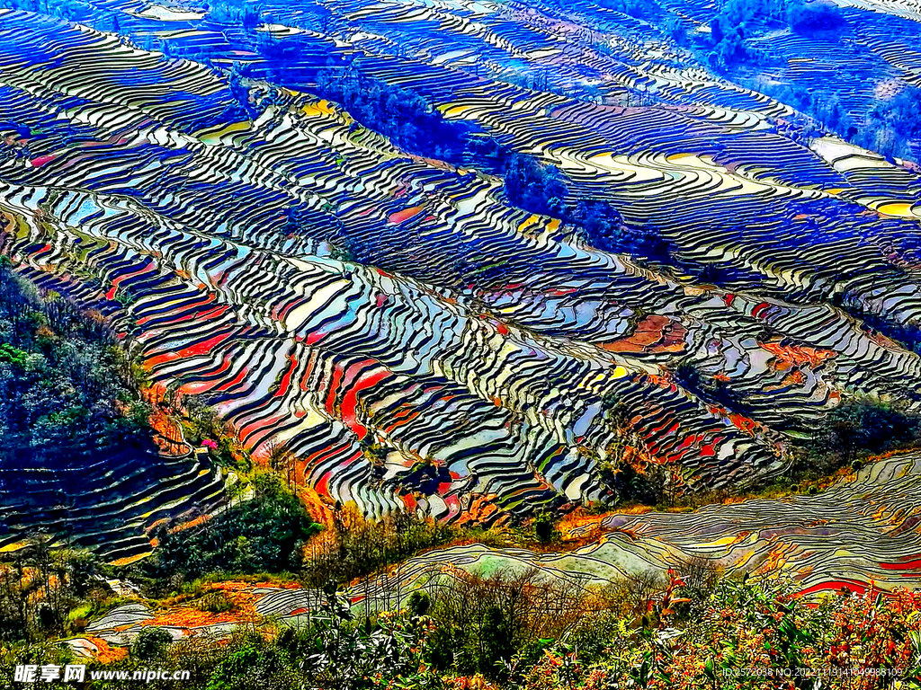 元阳哈尼梯田风光