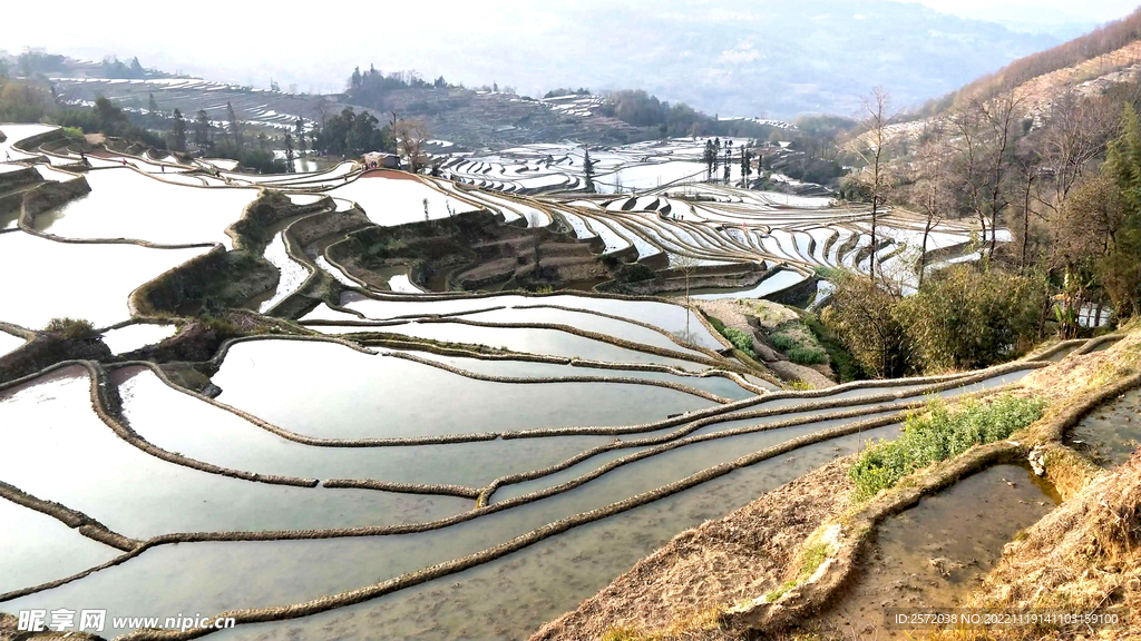 元阳哈尼梯田风光