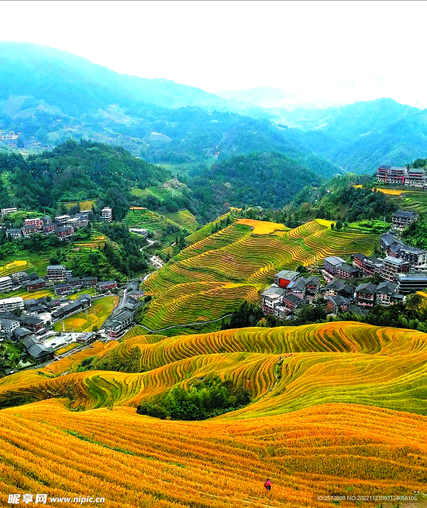 龙胜龙脊梯田风光