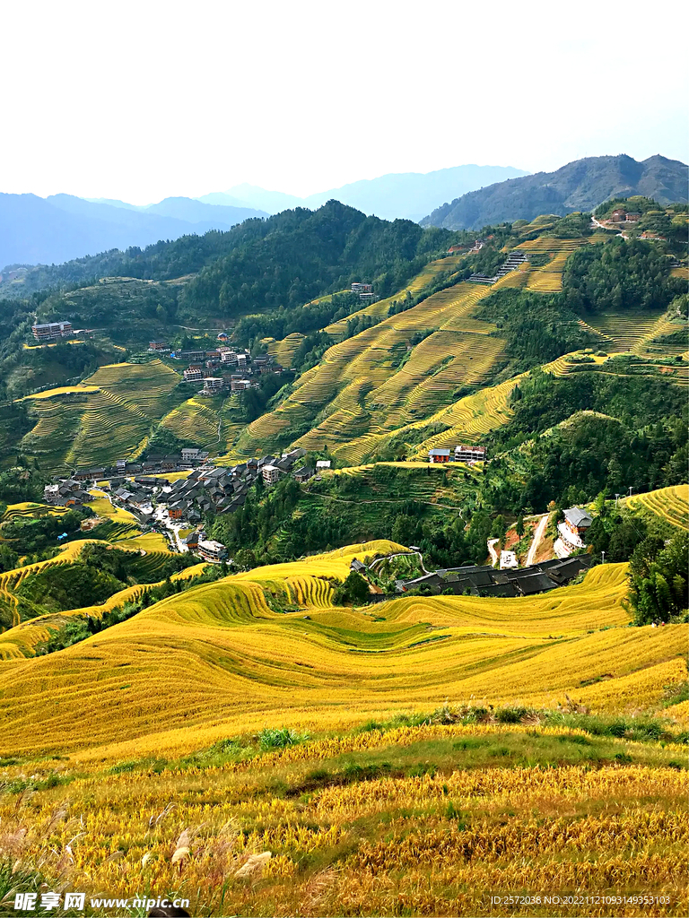 龙胜龙脊梯田风光