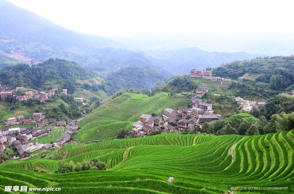 龙胜龙脊梯田风光