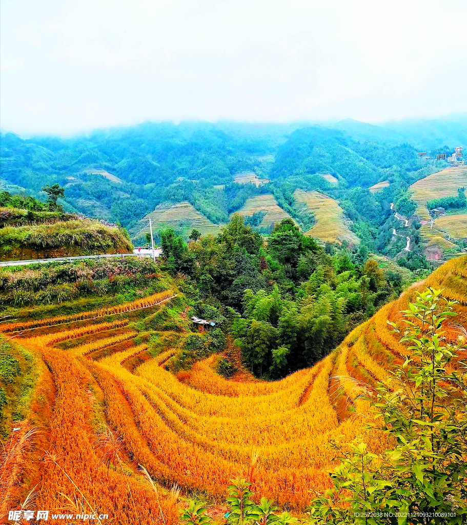 龙胜龙脊梯田风光