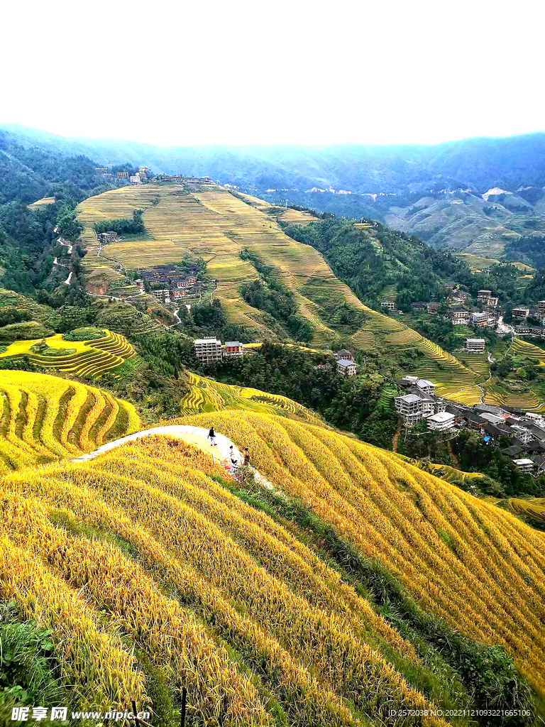 龙胜龙脊梯田风光