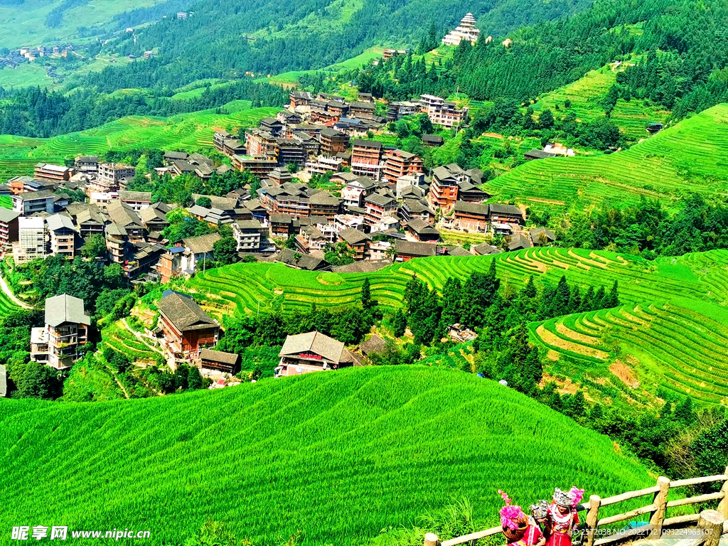 龙胜龙脊梯田风光
