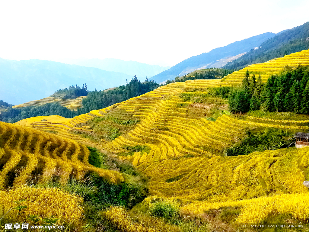 龙胜龙脊梯田风光