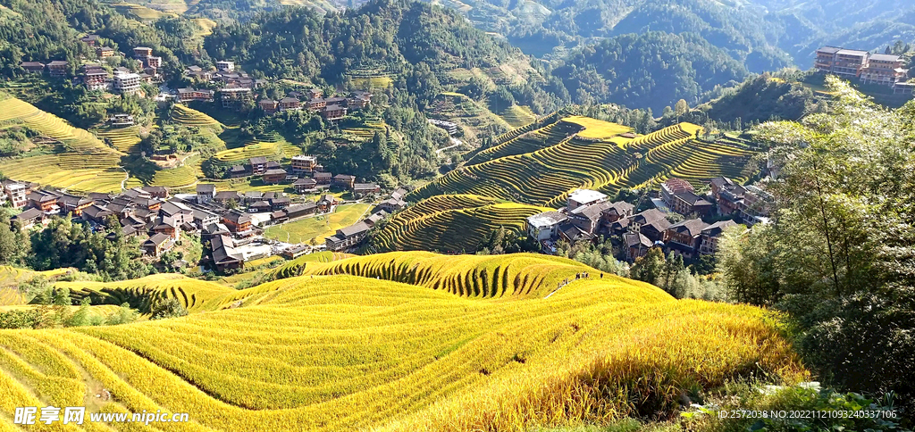 龙胜龙脊梯田风光