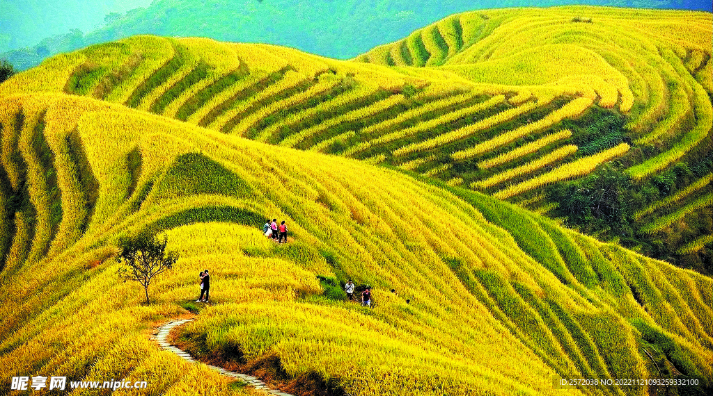 龙胜龙脊梯田风光