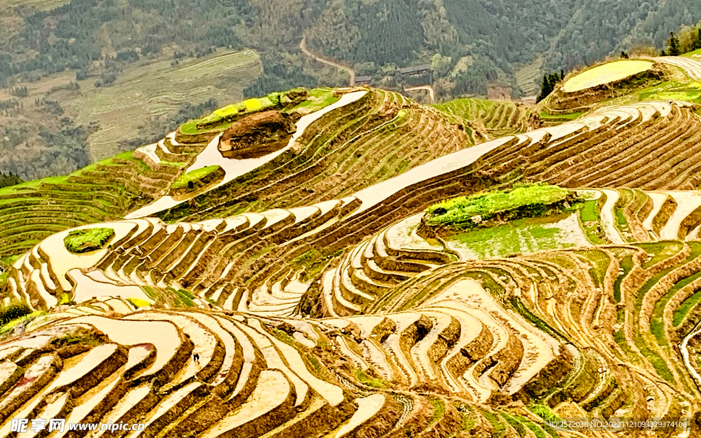 龙胜龙脊梯田风光