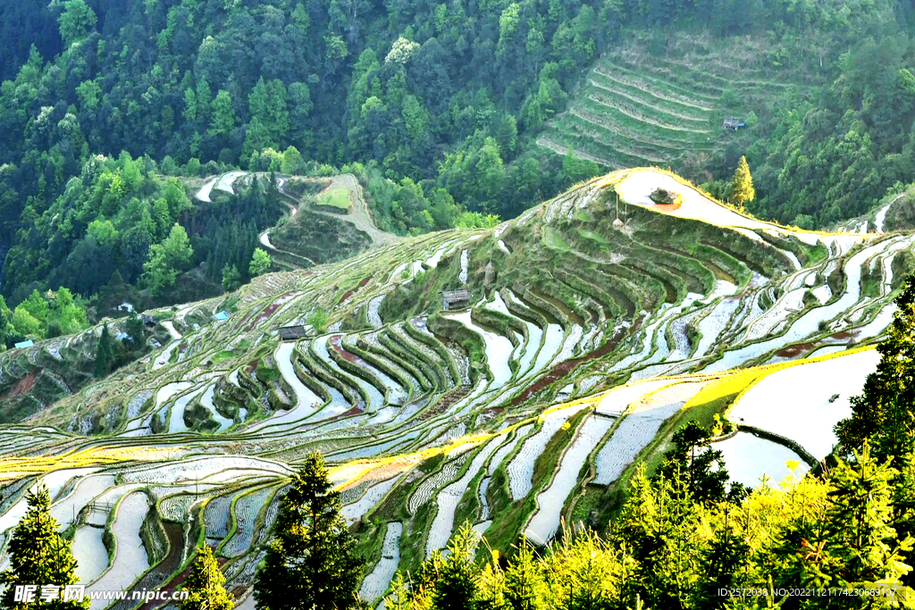 从江加榜梯田风光