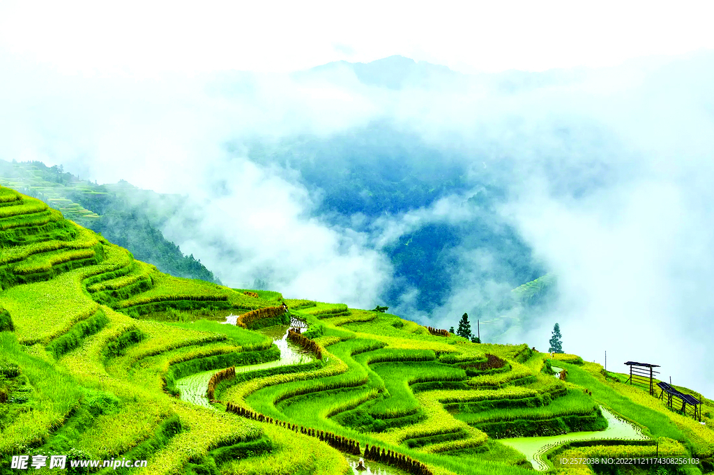 从江加榜梯田风光