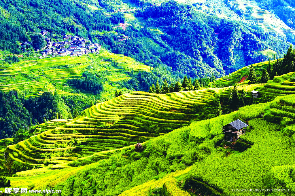 从江加榜梯田风光