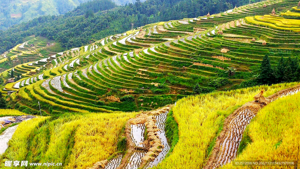 从江加榜梯田风光