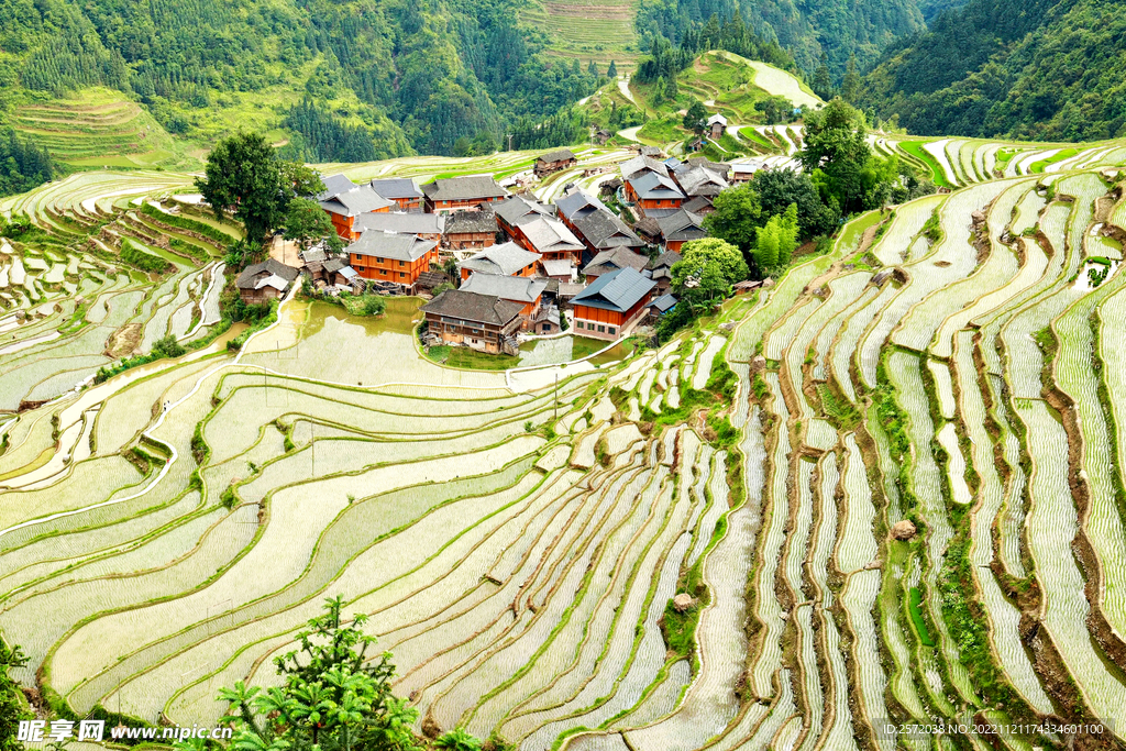 从江加榜梯田风光