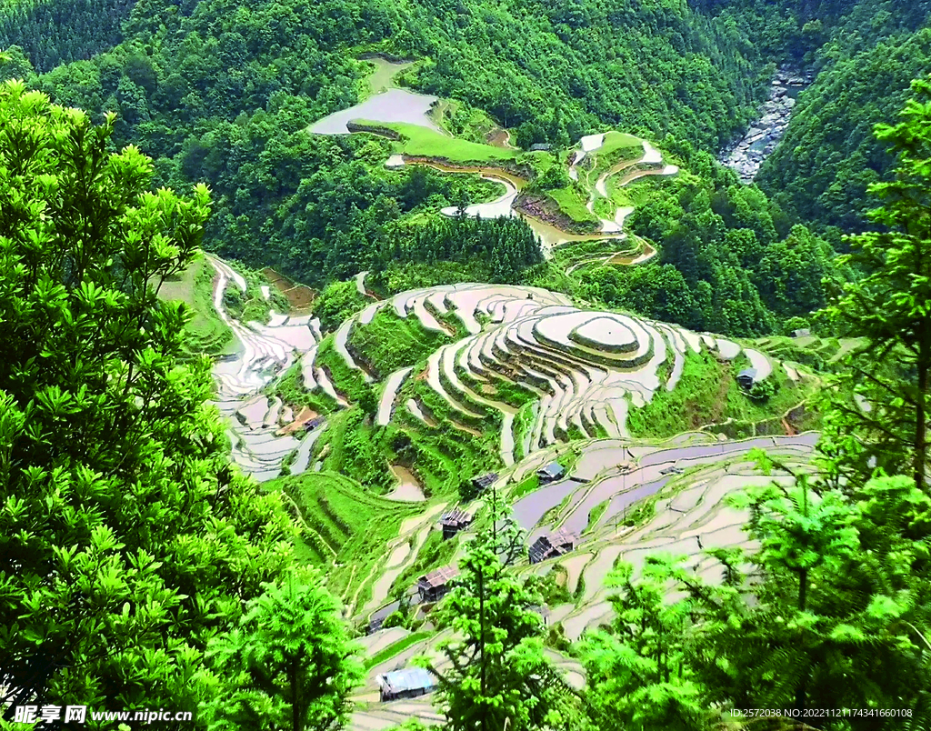 从江加榜梯田风光
