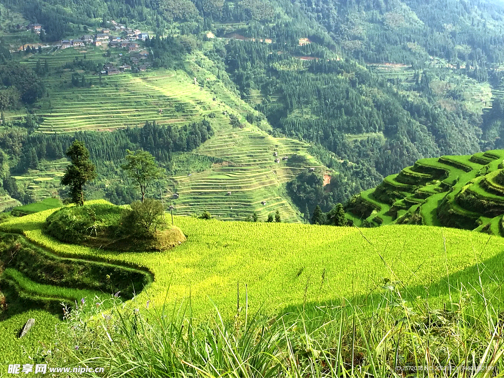 从江加榜梯田风光