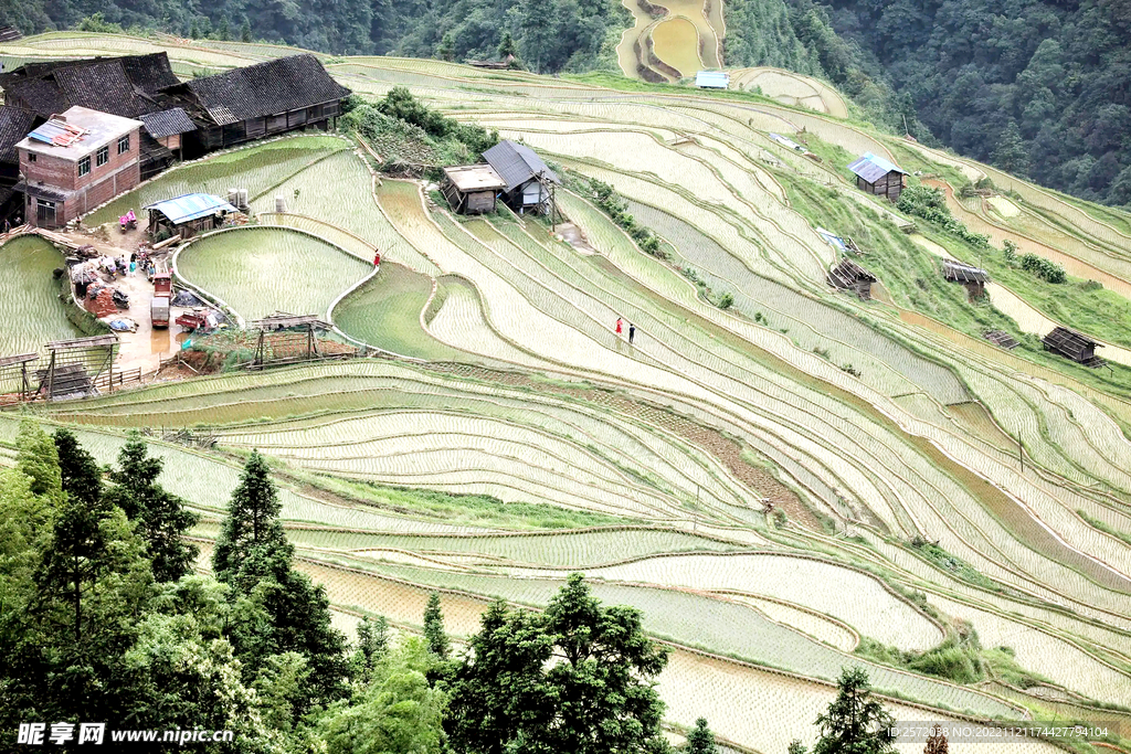 从江加榜梯田风光