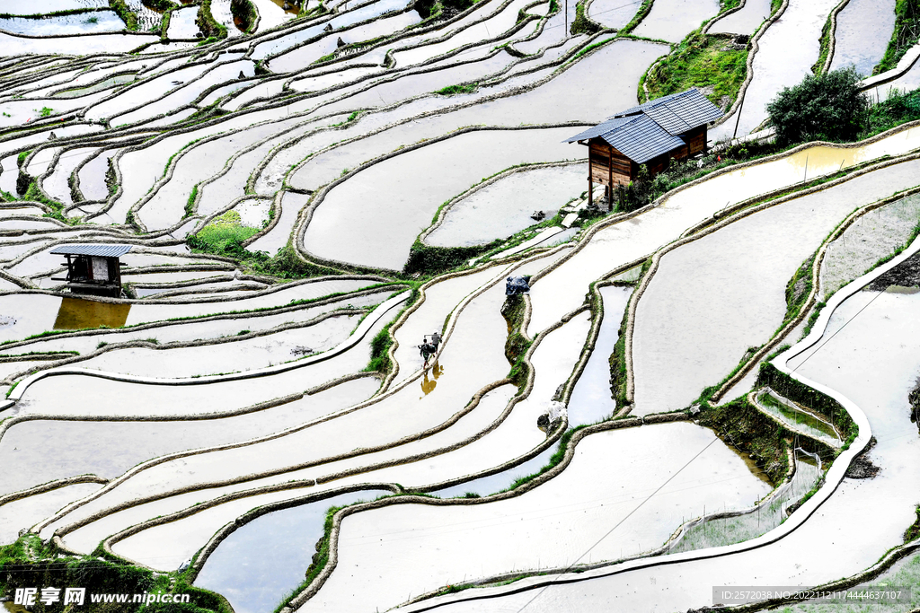 从江加榜梯田风光