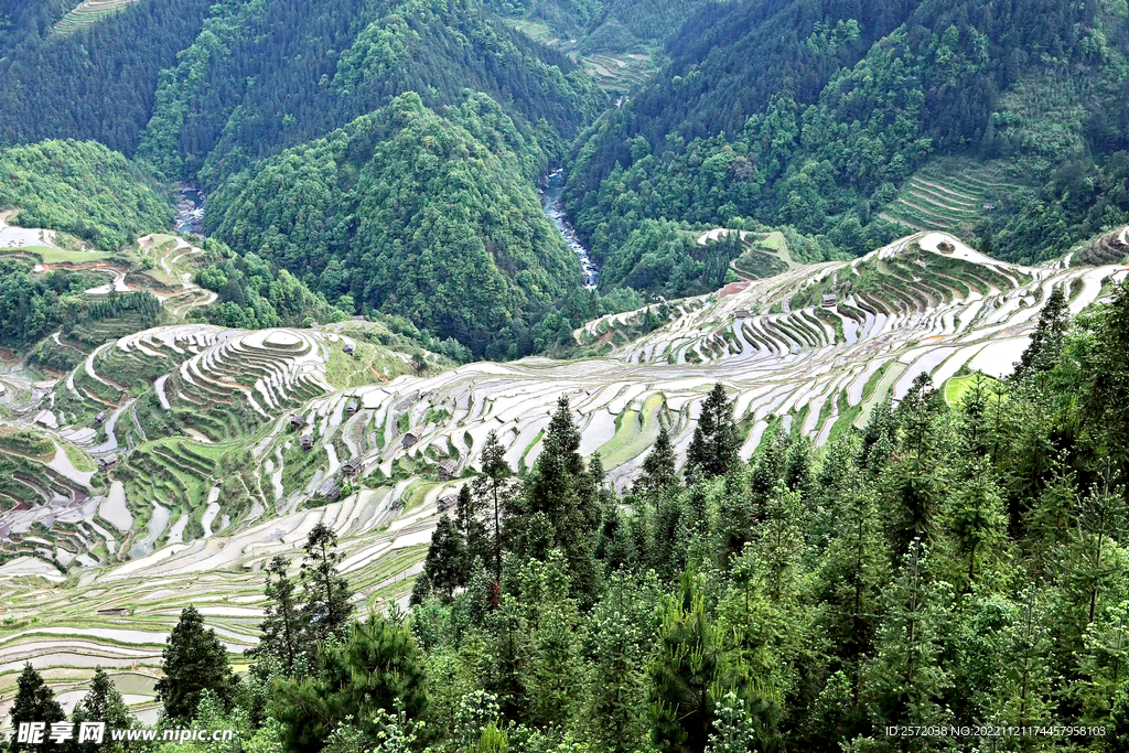 从江加榜梯田风光