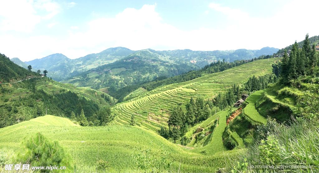 从江加榜梯田风光