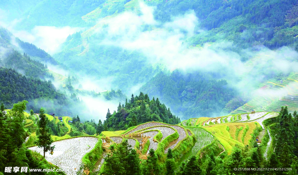 从江加榜梯田风光