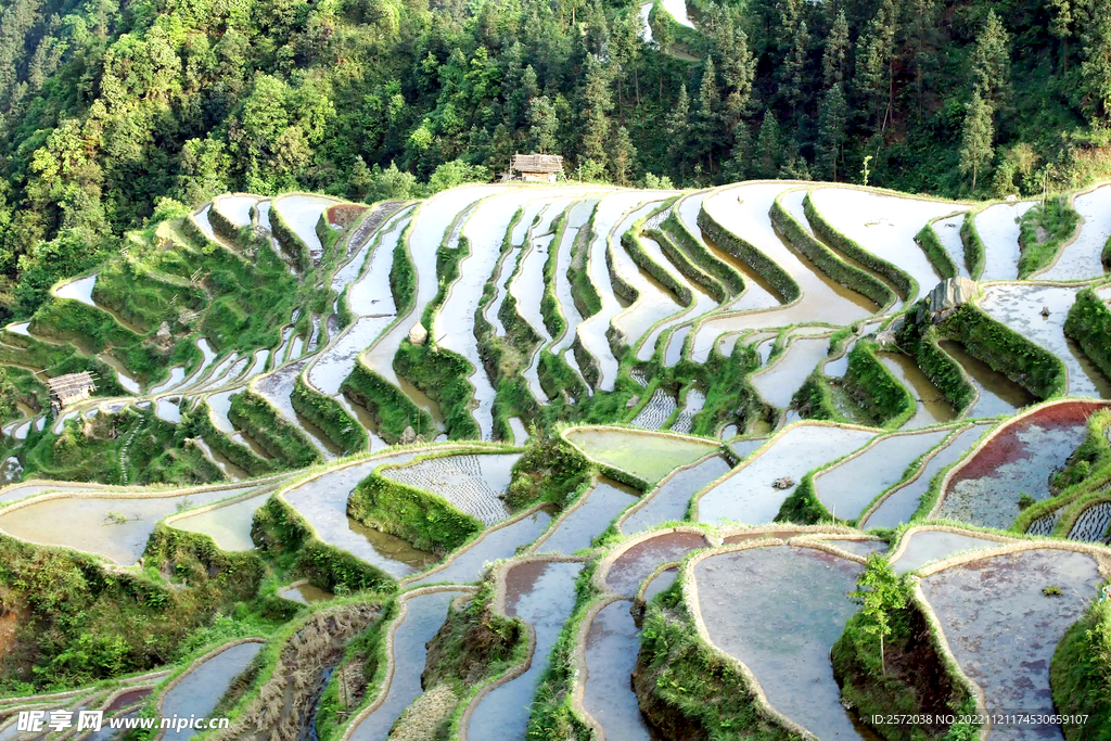 从江加榜梯田风光