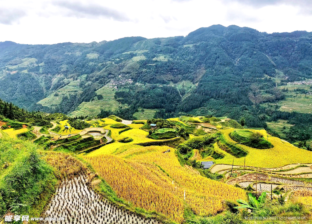 从江加榜梯田风光